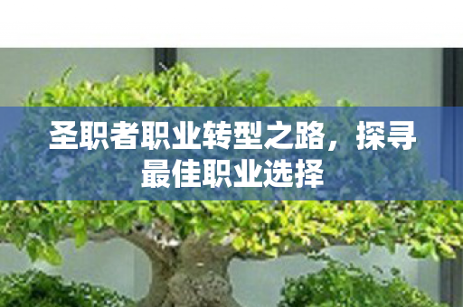 圣职者职业转型之路,探寻最佳职业选择 圣职者职业转型之路,探寻最佳职业选择