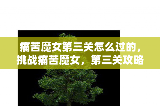 痛苦魔女第三关怎么过的,挑战痛苦魔女,第三关攻略 痛苦魔女第三关怎么过的,挑战痛苦魔女,第三关攻略