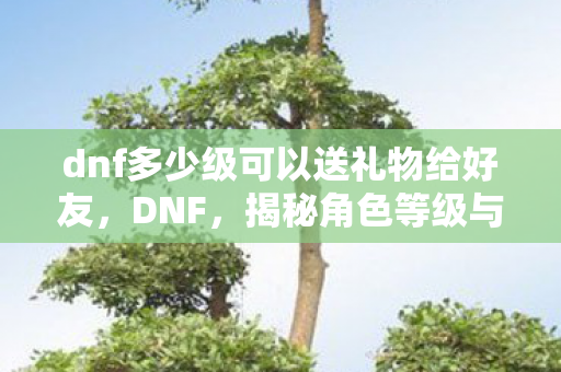 dnf多少级可以送礼物给好友,DNF,揭秘角色等级与赠送礼物的奇妙缘分 dnf多少级可以送礼物给好友,DNF,揭秘角色等级与赠送礼物的奇妙缘分