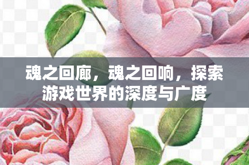 魂之回廊,魂之回响,探索游戏世界的深度与广度 魂之回廊,魂之回响,探索游戏世界的深度与广度