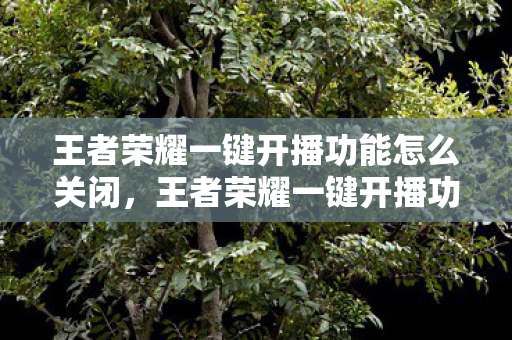 王者荣耀一键开播功能怎么关闭，王者荣耀一键开播功能，便捷高效，开启全民直播新篇章