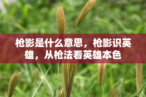 枪影是什么意思,枪影识英雄,从枪法看英雄本色 枪影是什么意思,枪影识英雄,从枪法看英雄本色