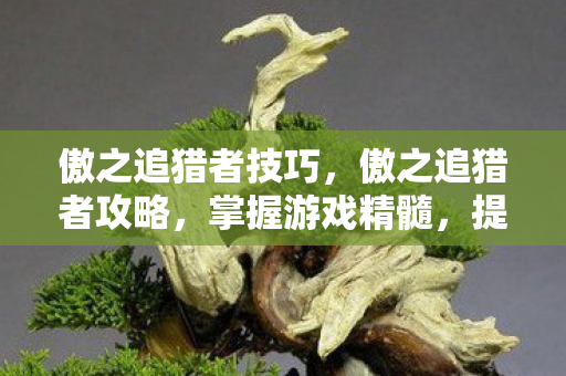 傲之追猎者技巧,傲之追猎者攻略,掌握游戏精髓,提升狩猎效率 傲之追猎者技巧,傲之追猎者攻略,掌握游戏精髓,提升狩猎效率