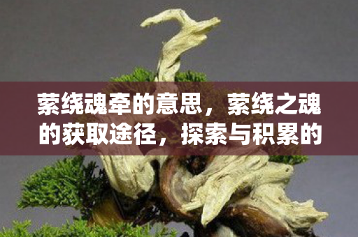 萦绕魂牵的意思，萦绕之魂的获取途径，探索与积累的艺术