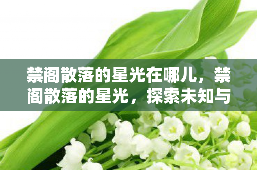 禁阁散落的星光在哪儿,禁阁散落的星光,探索未知与奇幻的旅程 禁阁散落的星光在哪儿,禁阁散落的星光,探索未知与奇幻的旅程