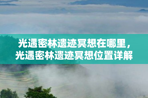 光遇密林遗迹冥想在哪里,光遇密林遗迹冥想位置详解 光遇密林遗迹冥想在哪里,光遇密林遗迹冥想位置详解