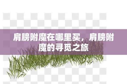 肩膀附魔在哪里买，肩膀附魔的寻觅之旅