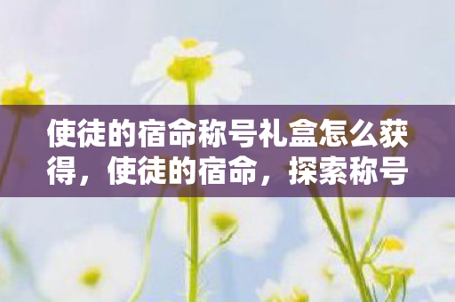 使徒的宿命称号礼盒怎么获得，使徒的宿命，探索称号礼盒的奇幻之旅