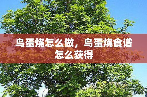 鸟蛋烧怎么做，鸟蛋烧食谱怎么获得