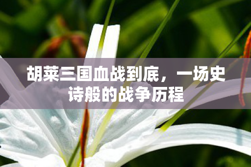 胡莱三国血战到底,一场史诗般的战争历程 胡莱三国血战到底,一场史诗般的战争历程