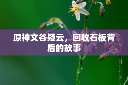 原神文谷疑云,回收石板背后的故事 原神文谷疑云,回收石板背后的故事