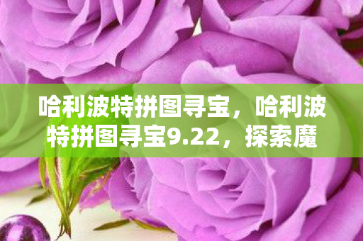 哈利波特拼图寻宝,哈利波特拼图寻宝9.22,探索魔法世界的秘密 哈利波特拼图寻宝,哈利波特拼图寻宝9.22,探索魔法世界的秘密