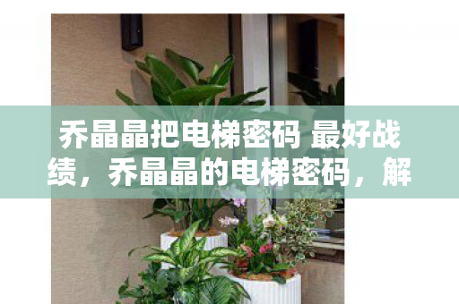 乔晶晶把电梯密码 最好战绩,乔晶晶的电梯密码,解锁智慧生活的秘密 乔晶晶把电梯密码 最好战绩,乔晶晶的电梯密码,解锁智慧生活的秘密