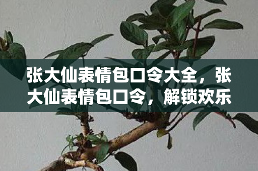 张大仙表情包口令大全,张大仙表情包口令,解锁欢乐互动新方式 张大仙表情包口令大全,张大仙表情包口令,解锁欢乐互动新方式