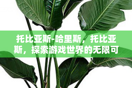 托比亚斯-哈里斯,托比亚斯,探索游戏世界的无限可能 托比亚斯-哈里斯,托比亚斯,探索游戏世界的无限可能