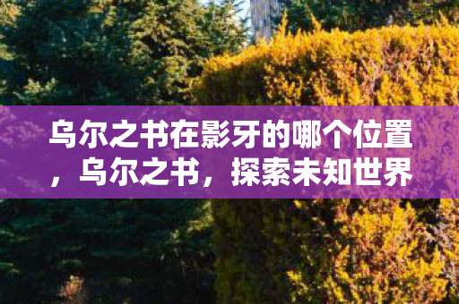 乌尔之书在影牙的哪个位置图片