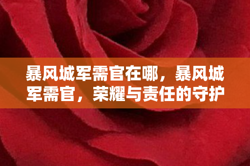 暴风城军需官在哪，暴风城军需官，荣耀与责任的守护者