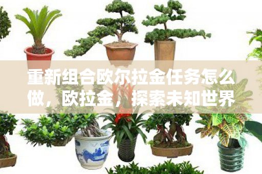 重新组合欧尔拉金任务怎么做,欧拉金,探索未知世界的奇幻之旅 重新组合欧尔拉金任务怎么做,欧拉金,探索未知世界的奇幻之旅