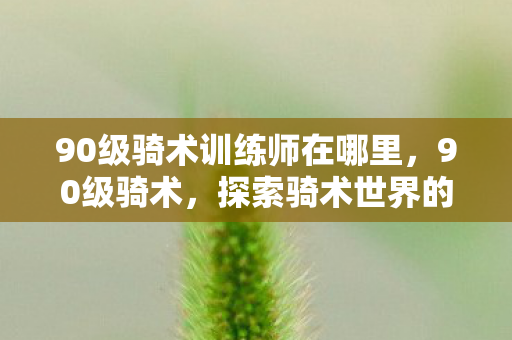90级骑术训练师在哪里,90级骑术,探索骑术世界的巅峰之旅 90级骑术训练师在哪里,90级骑术,探索骑术世界的巅峰之旅