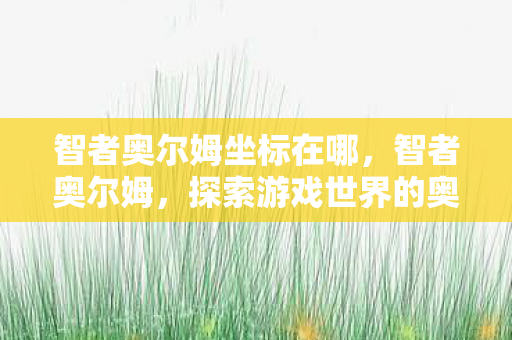 智者奥尔姆坐标在哪，智者奥尔姆，探索游戏世界的奥秘