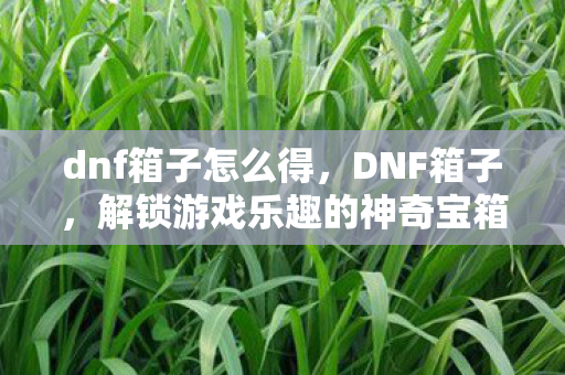 解锁游戏乐趣的神奇宝箱图片