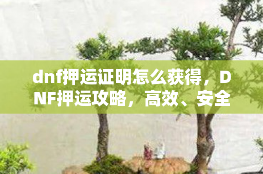dnf押运证明怎么获得图片