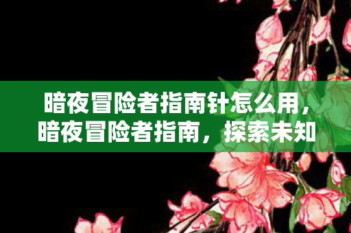 暗夜冒险者指南针怎么用，暗夜冒险者指南，探索未知世界的勇气与智慧