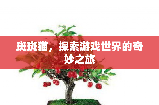 斑斑猫,探索游戏世界的奇妙之旅 斑斑猫,探索游戏世界的奇妙之旅