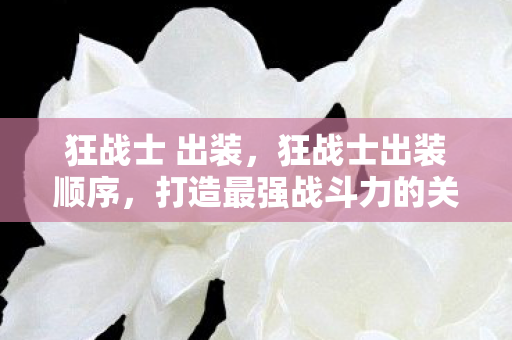 狂战士 出装,狂战士出装顺序,打造最强战斗力的关键步骤 狂战士 出装,狂战士出装顺序,打造最强战斗力的关键步骤