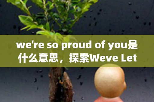 探索Weve Let Too Many Poros In的深层含义图片