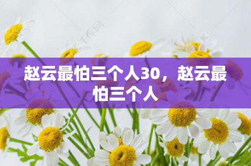 赵云最怕三个人30图片