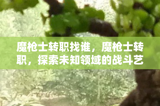 魔枪士转职找谁,魔枪士转职,探索未知领域的战斗艺术 魔枪士转职找谁,魔枪士转职,探索未知领域的战斗艺术