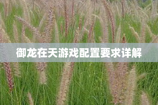 御龙在天游戏配置要求详解 御龙在天游戏配置要求详解
