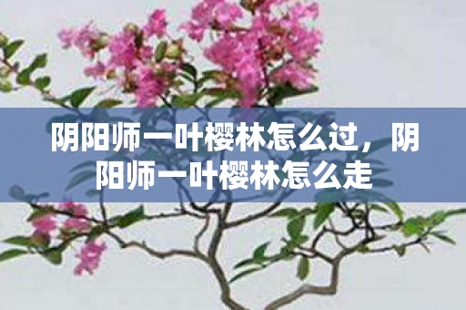 阴阳师一叶樱林怎么过图片