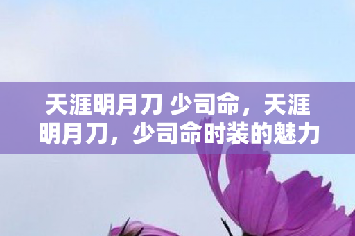 少司命时装的魅力与背后的故事图片