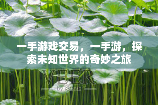 探索未知世界的奇妙之旅图片