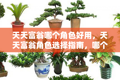 天天富翁哪个角色好用,天天富翁角色选择指南,哪个角色最适合你? 天天富翁哪个角色好用,天天富翁角色选择指南,哪个角色最适合你?