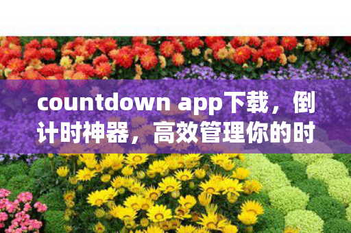 countdown app下载图片