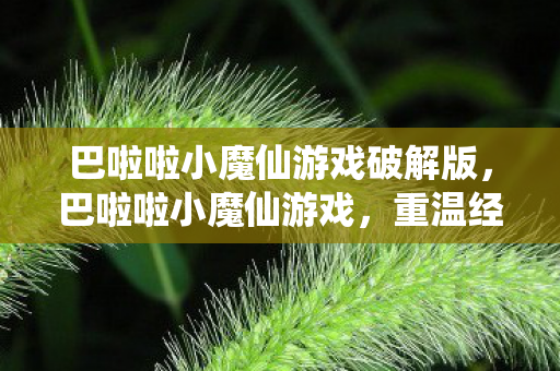 巴啦啦小魔仙游戏破解版图片
