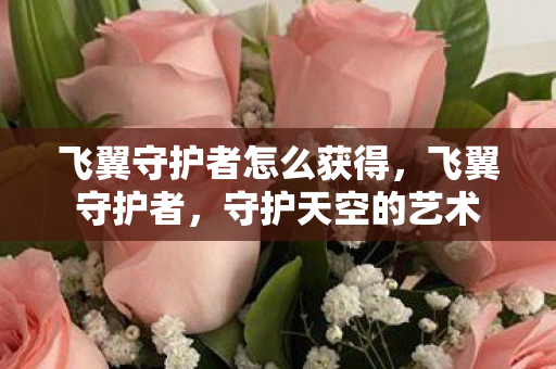 飞翼守护者怎么获得图片