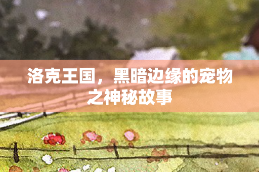 洛克王国,黑暗边缘的宠物之神秘故事 洛克王国,黑暗边缘的宠物之神秘故事