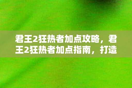 君王2狂热者加点攻略图片