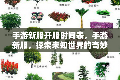 探索未知世界的奇妙之旅图片