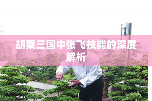胡莱三国中张飞技能的深度解析 胡莱三国中张飞技能的深度解析