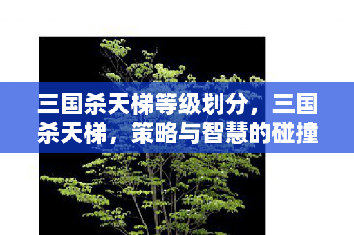 三国杀天梯等级划分图片