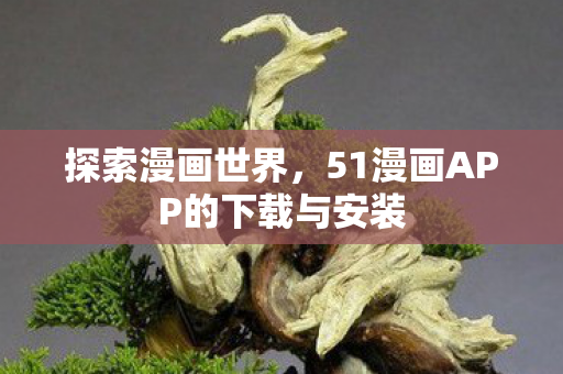 探索漫画世界,51漫画APP的下载与安装 探索漫画世界,51漫画APP的下载与安装