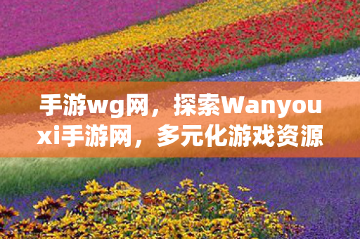 探索Wanyouxi手游网图片