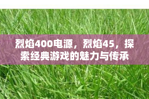 探索经典游戏的魅力与传承图片