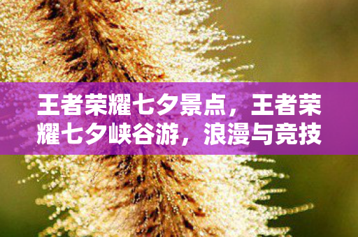 浪漫与竞技的梦幻交织图片