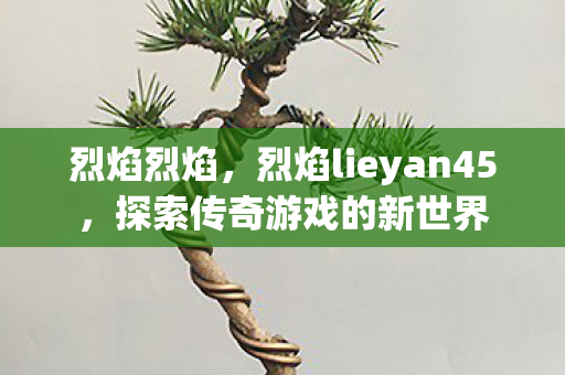 烈焰lieyan45图片